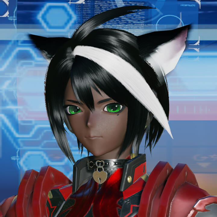 ARKS Defender Jocasta Kayah Game: PSO2 Race: Newman/Musk Cat