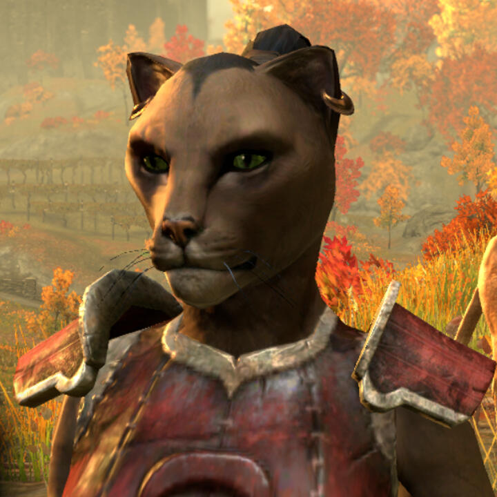 Jocasta Kayah the Quick Game: ESO Race: Khajit
